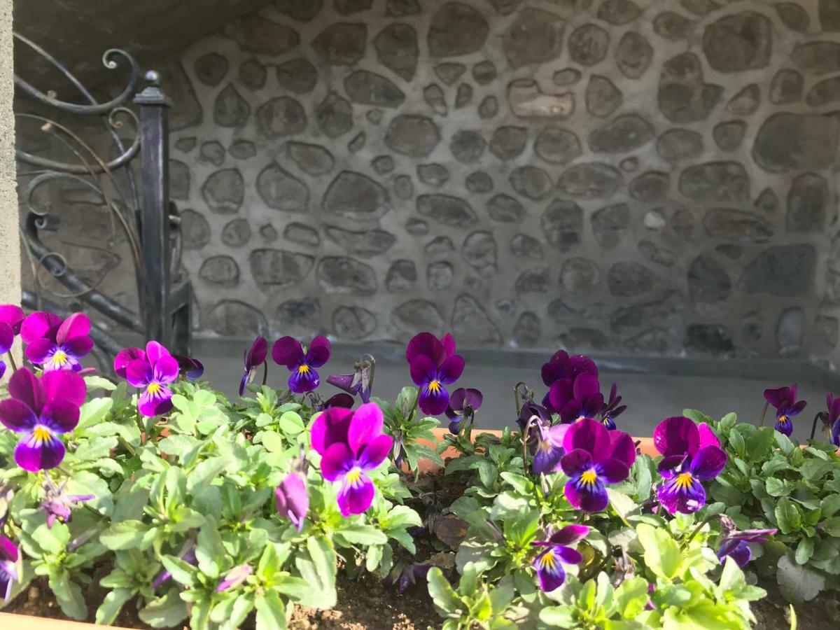Christy Hotel Goris Exterior foto